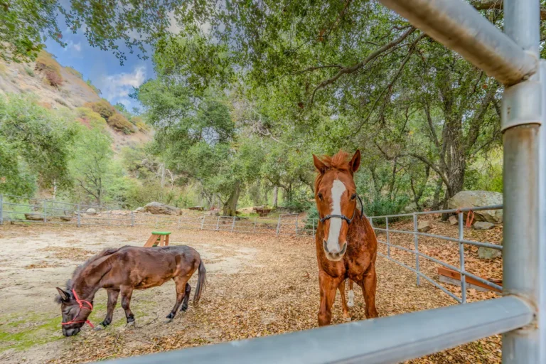 Ojai Farm House | Rich Michalowski