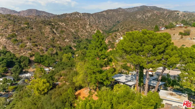 Tujunga Hills: Mid Century Retreat | Rich Michalowski • Los Angeles Real Estate