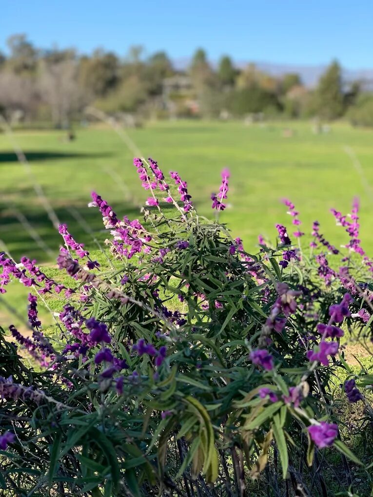 Silver Lake Forever | Rich Michalowski • Los Angeles Real Estate