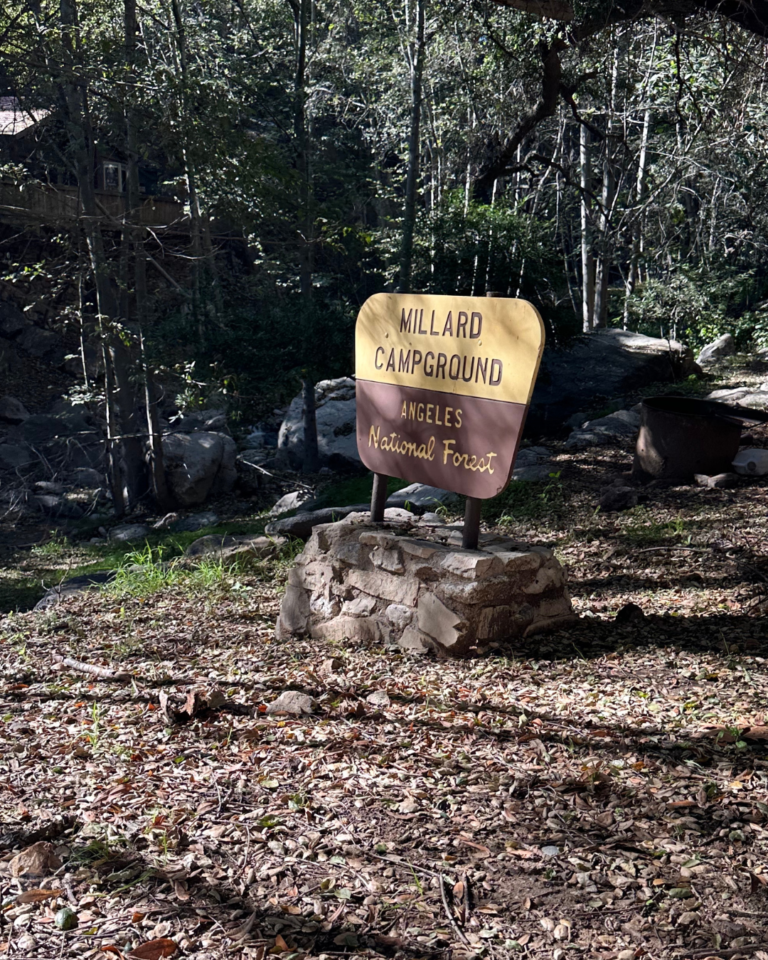 Magic Cabin in Angeles National Forest | Rich Michalowski • Los Angeles Real Estate