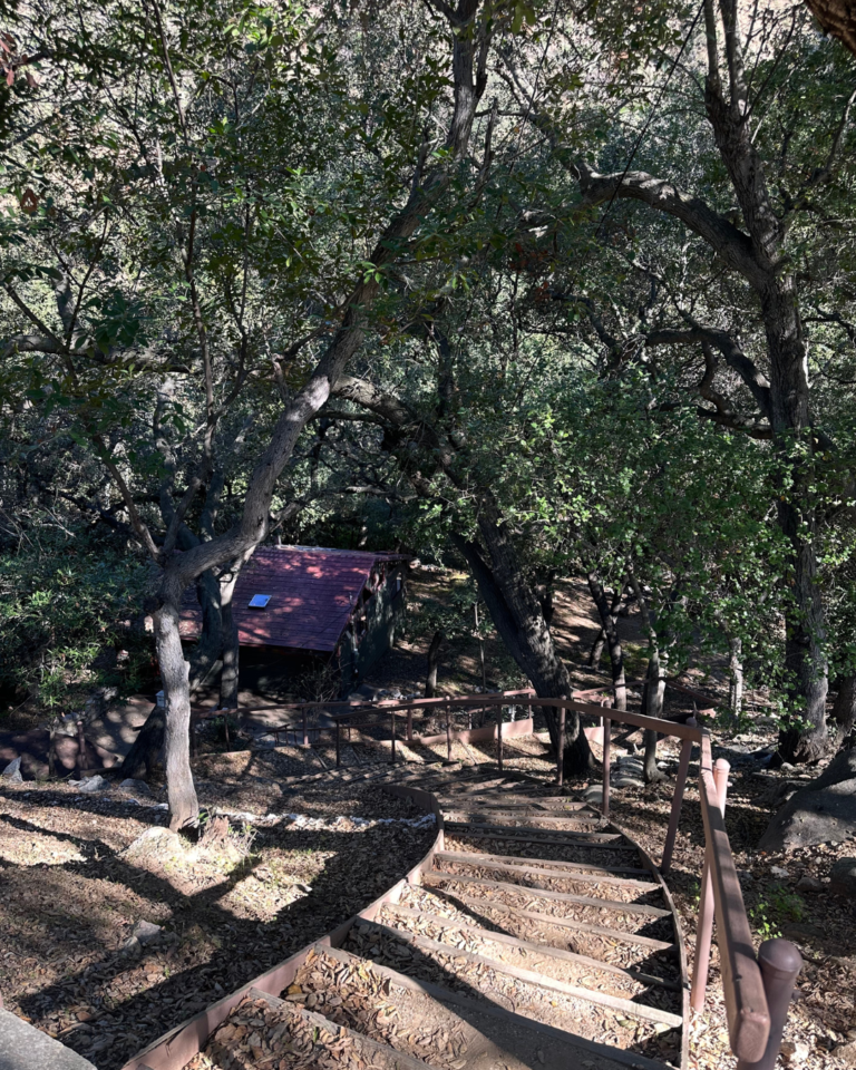 Magic Cabin in Angeles National Forest | Rich Michalowski • Los Angeles Real Estate