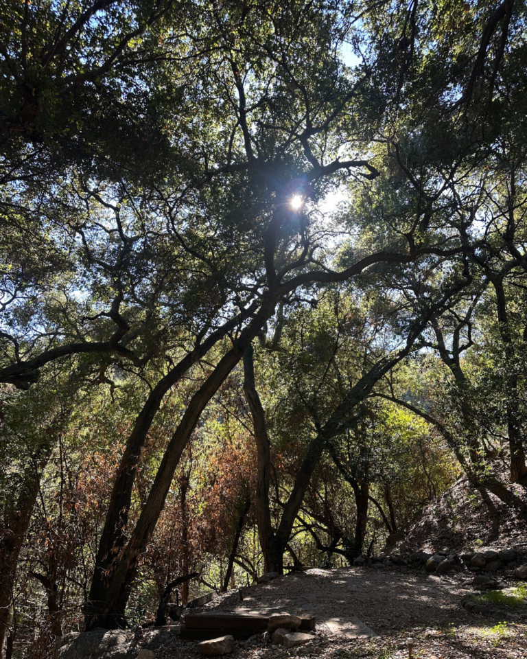 Magic Cabin in Angeles National Forest | Rich Michalowski • Los Angeles Real Estate