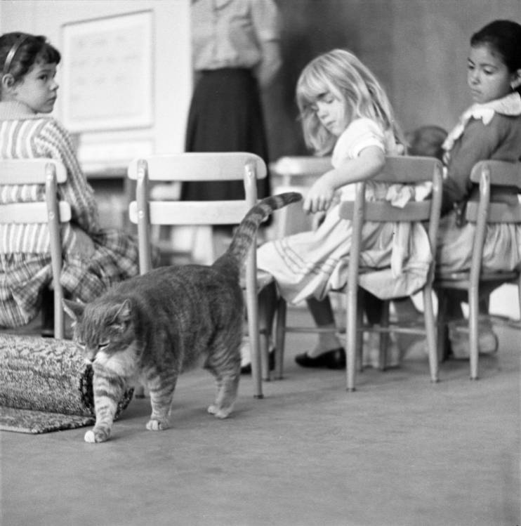 Elysian Heights Elementary | Rich Michalowski • Los Angeles Real Estate